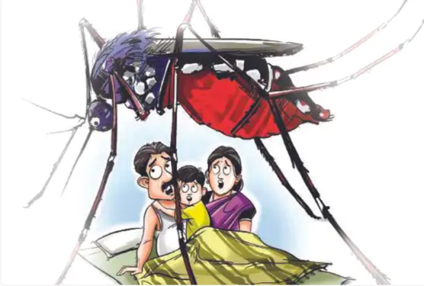 अमरावतीत धोक्याची घंटा; 14 दिवसांत डेंग्यूचे 88, तर चिकनगुन्याचे 58 रुग्ण.