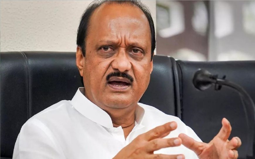 'मैं केवल महायुति सहयोगियों पर ध्यान देता हूं' - अजित पवार!