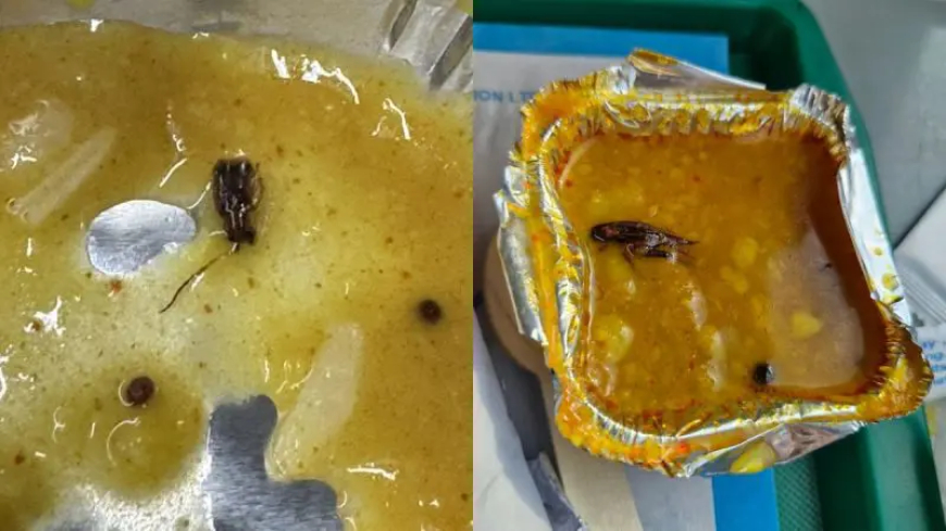 मुंबई के एक व्यक्ति को वंदे भारत ट्रेन में दाल में एक कॉकरोच मिला!
