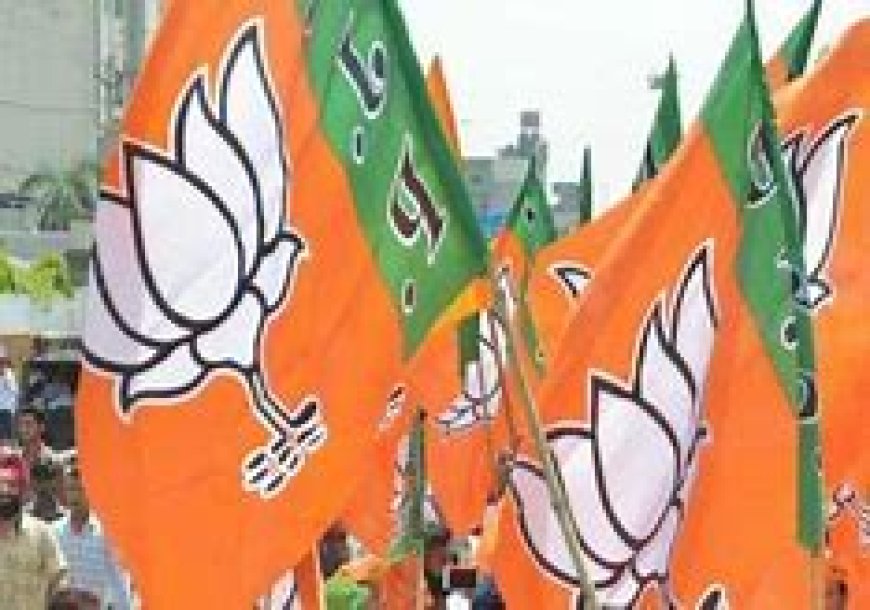 BJPની CECની બેઠકઃ ઉમેદવારોના નામોને મંજૂરી મળી શકે છે