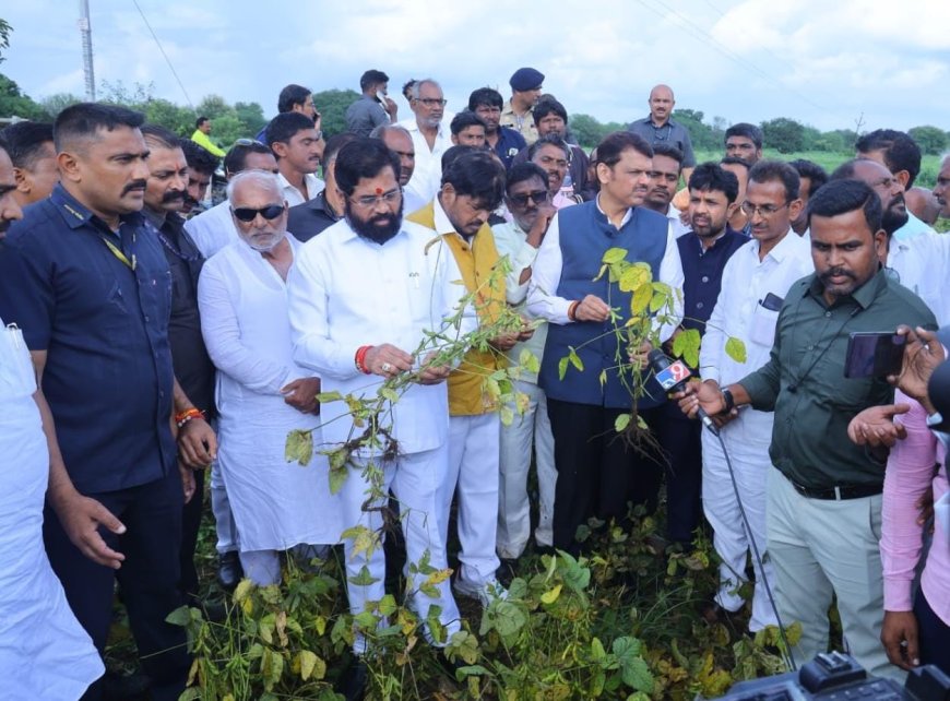 अतिवृष्टीने झालेल्या नुकसानीची पाहणी करण्यासाठी मुख्यमंत्री-उपमुख्यमंत्री शेतकऱ्यांच्या बांधावर