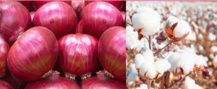 मोदी सरकारने शेतकऱ्यांच्या शेतमालाला जास्त भाव मिळावा म्हणून अत्यंत महत्त्वपूर्ण निर्णय घेतले : उपमुख्यमंत्री देवेंद्र फडणवीस यांनीही केंद्र सरकारच्या या निर्णयाचे स्वागत केले
