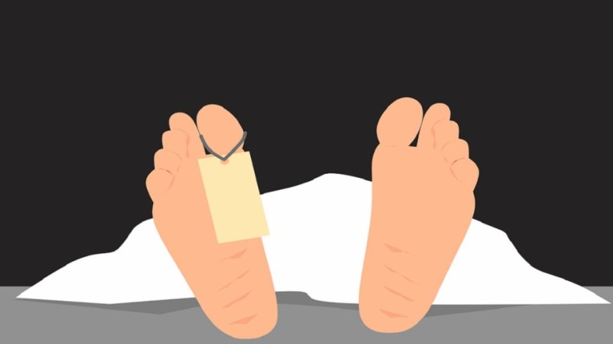 पुणे: मिरवणुकीत तरुणांच्या मृत्यूप्रकरणी मंडळाच्या अध्यक्षासह चौघांवर गुन्हा दाखल, वडगाव शेरीतील दुर्देवी घटना