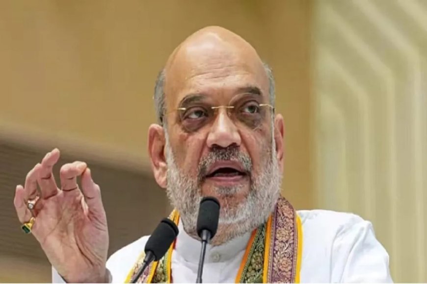 काही जण मुख्यमंत्री, पंतप्रधान होण्यासाठी निवडणूक लढवतात - अमित शाह