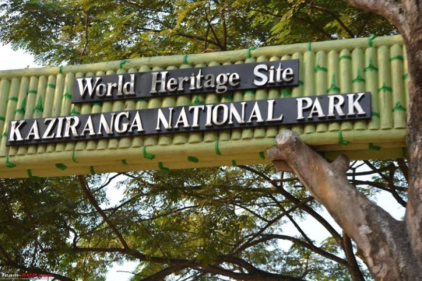 Kaziranga National Park to open for tourists