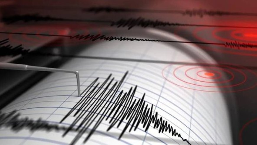 Earthquake of 4.6 magnitude hits many parts of Assam, Bhutan